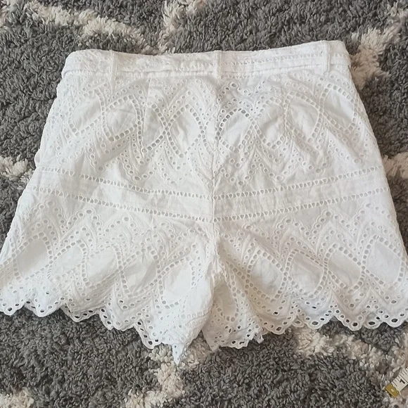 Express Shorts - Picture 4 of 6